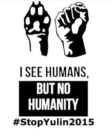 這是足球新星班福特PＯ出的終結玉林狗肉節海報，班福特的表態，讓中國體育專業媒體驚訝發現這位可進哈佛唸書的金童，是位愛狗人。　取自網路