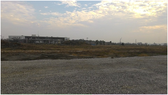 成大海洋生物及鯨豚研究中心從2010年以來在四草鯨豚救援池開站迄今，救援成功並野放 紀錄是救活6隻擱淺鯨豚並野放回大海，這些記錄都是中心所有成員努力的心血。事實上鯨 豚的救援工作不比一般陸地野生動物輕鬆！　瑭芯/攝