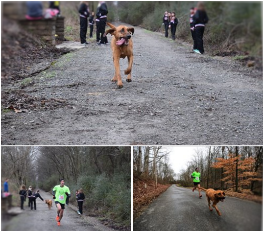 一路上跑跑停停，東張西望，ya！快到終點了！取自網路