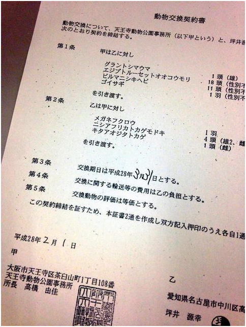 根據契約，天王寺動物園以格蘭特氏斑馬、埃及果蝠、緬甸蟒、夜鷺，向動物貿易商換取眼鏡鴞、肥尾守宮、北部藍舌蜥。 取自朝日新聞