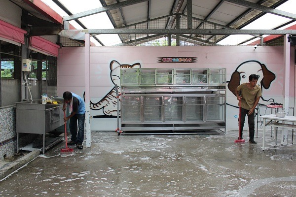 化工後才買得到的漂白粉原劑，便宜實用，但一定要依照比例稀釋使用，否則危害性大（此為示意圖）。　黃靖雅/攝