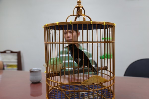 檢舉他人非法飼養保育類鳥種，卻不知自己養的也是保育類鳥種！　新北市動保處/提供
