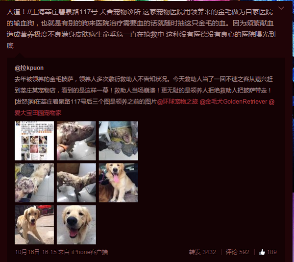 在還沒有《動物保護法》的中國，民眾只能靠著網路動員和撻伐，來制裁虐狗、不當飼養等惡行。  取自網路