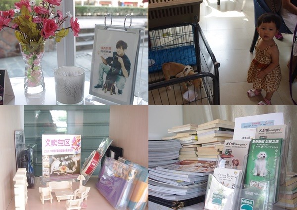 在咖啡館舉行的領養會，現場做了精心布置，以推廣動物福利觀念。  無糖媽/攝