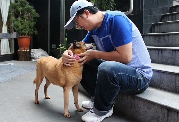 這就是在內湖動物之家long- stay近4年的Lucky，在牠被領養時，志工歡聲雷動，而邊中健也被牠感恩示好的舉動深深打動。張毓靜/攝