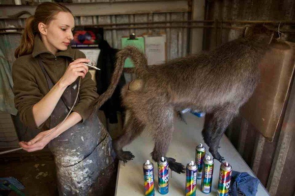 標本完成前，都還要經過缺陷修補。取自thesun.co.uk