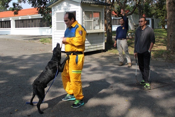 別小看這拉扯的動作，犬隻的佔有慾、敏捷度都可以測試出來。 周聰吉/提供