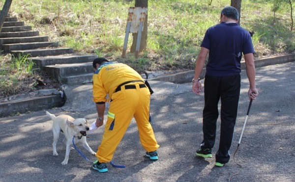台中市消防局即將成立搜救犬隊，由關務署緝毒犬培訓中心提供培訓的犬隻。周聰吉/提供