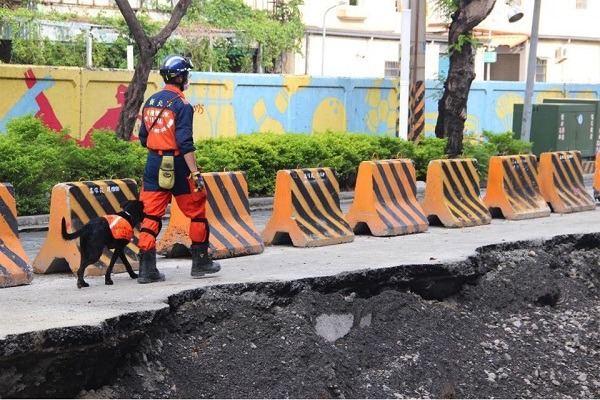國內搜救犬的基本訓練項目就是瓦礫堆搜尋。   新聞e論壇/提供 (梁德珊/攝)