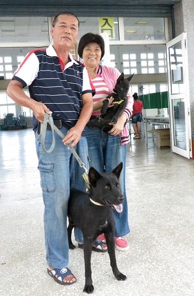 陳銘湶的愛犬「賓士」(站立的黑狗)對陌生人沒有警戒心，卻是捕鼠驅蛇的好手。  蕭士塔/攝