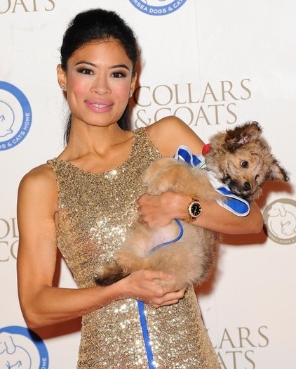 陳美要為全球每年被用於實驗的一億隻動物爭取自由。 取自網路