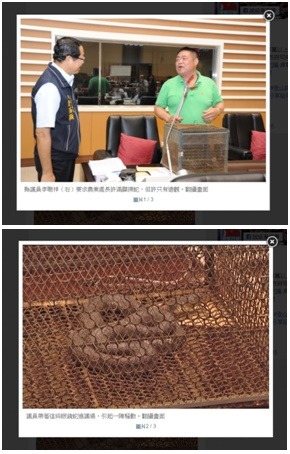 檢舉民眾提供議員戴眼鏡蛇進議會質詢的新聞畫面截圖。
