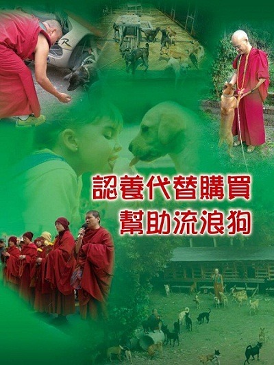 財團法人嘎檔巴佛教基金會倡導以認養代替購買，並經常在天母廣場舉辦領養會。