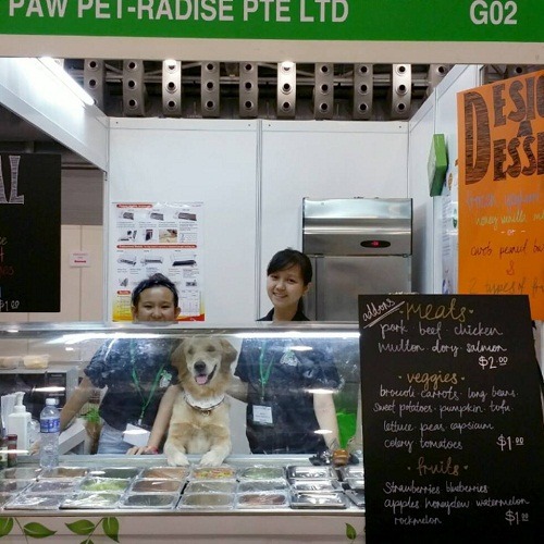 新加坡的爪子寵物-瑞迪斯(Paw Pet-radise)咖啡廳很精美。