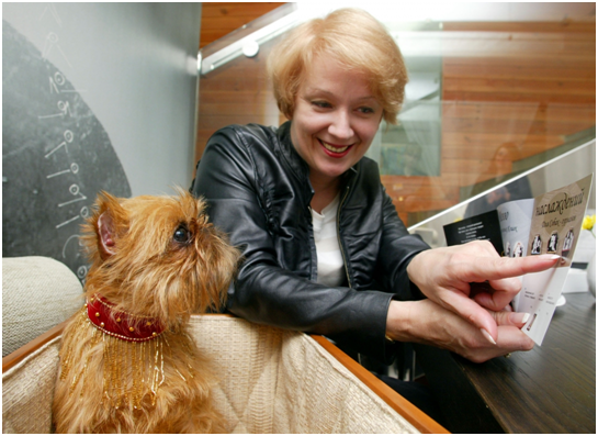 烏克蘭基輔的Tampopo餐廳歡迎人狗一起用餐。