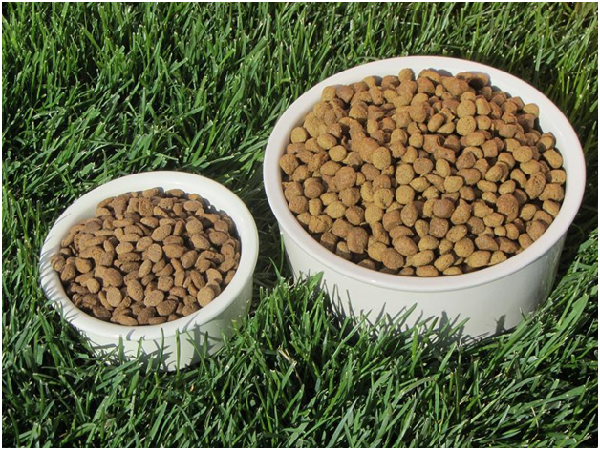 你替心愛犬貓買的牛肉口味飼料，真的含有牛肉嗎？取自網路。