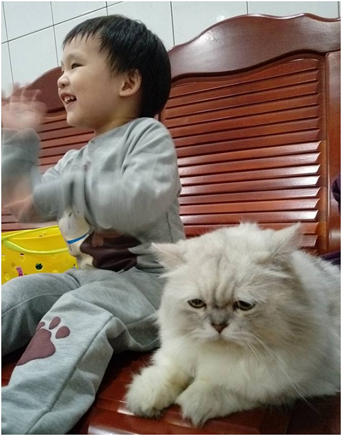 隨著寵物進入人類生活，飲食因「爸媽」的習慣衍生許多健康問題。 林誌/提供