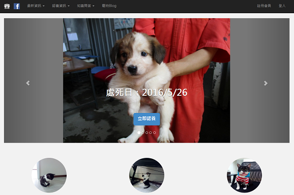 一點進「艾認養」網站，立即可看到大大的「處死日」3個字。取自艾認養網站