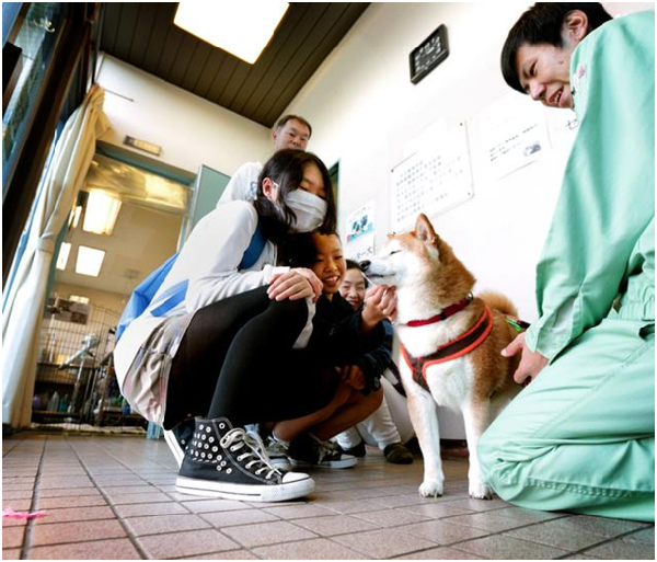到川崎市立收容所參加送養會的一家人。父親表示孩子大了，可以一起照顧狗兒。 取自朝日新聞