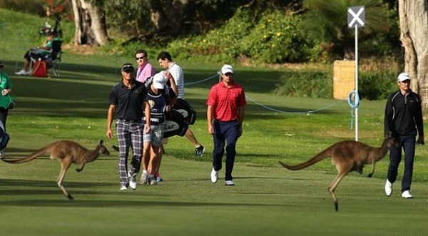 你覺得這樣的場景是和諧?或是突兀? 取自網路