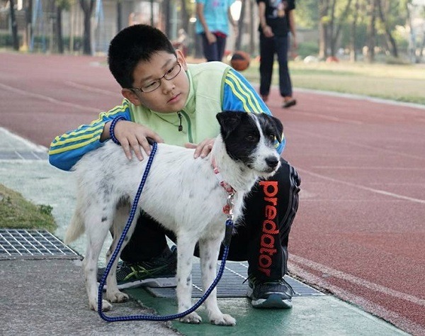 台南市德南國小到灣裡動物之家認養的校園犬「拉拉」。灣裡動物之家/提供