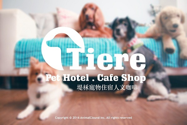 堤柇寵物住宿人文咖啡已經開館3年，在板橋地區有一定的知名度。