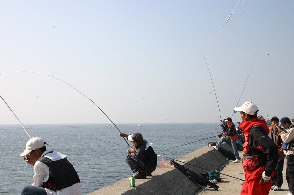 安平港南防波堤防是南部地區著名的釣點。 蕭士塔/攝