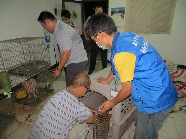新北動保處會同動保警察查獲這處位於頂樓鐵皮屋的非法繁殖場。   新北動保處/提供
