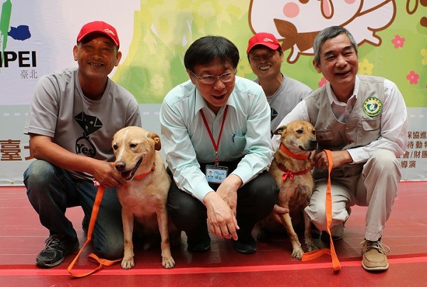 隨著「動物保護委員會」的即將設立，台北市離「動物友善城市」的目標又再近一步。 李娉婷/攝