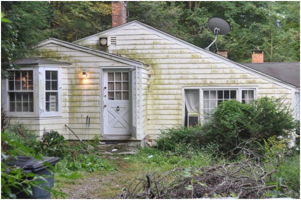 用來囤積鳥和蛇類的房舍。 取自washingtonpost.com