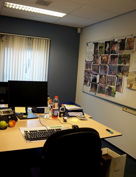 動物警察辦公室內的牆上，貼滿舉報案件的照片。碎嘴/攝