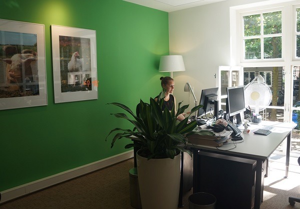 動物覺醒辦公室一隅。碎嘴/攝