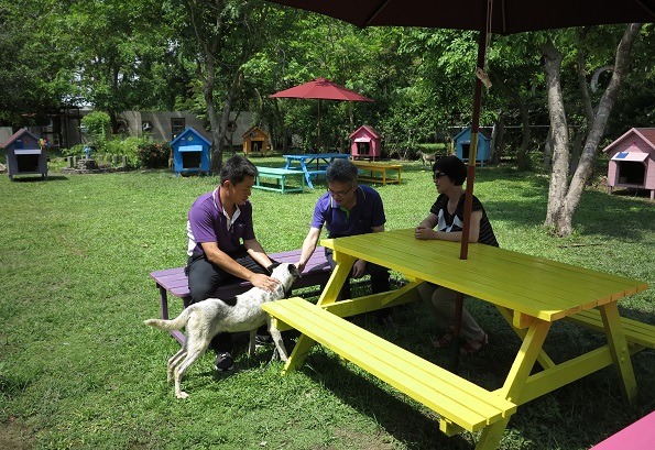 善化動物之家旺家客站增設庭園中陽傘座椅，方便民眾與待認養的犬隻互動。蕭士塔/攝
