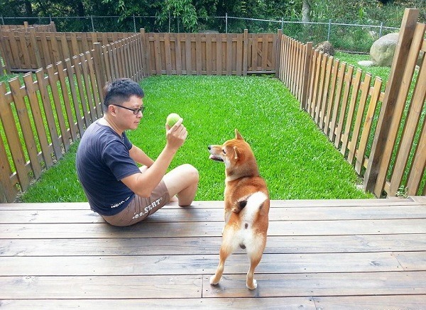 苗栗南庒著名的寵物民宿，即使沒有入住，經過時總要進去瞧瞧，才不虛此行。  曾大年/攝