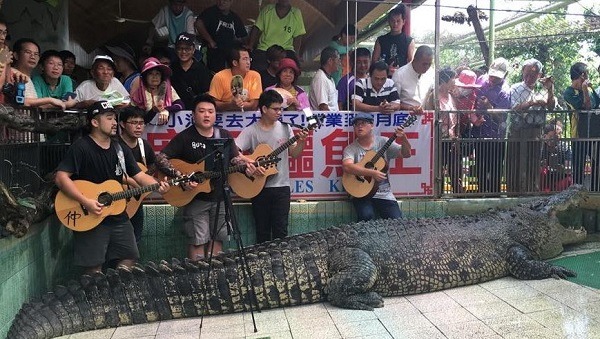 來自外縣市的吉他社員彈吉他為「小河」送行。蕭士塔/攝