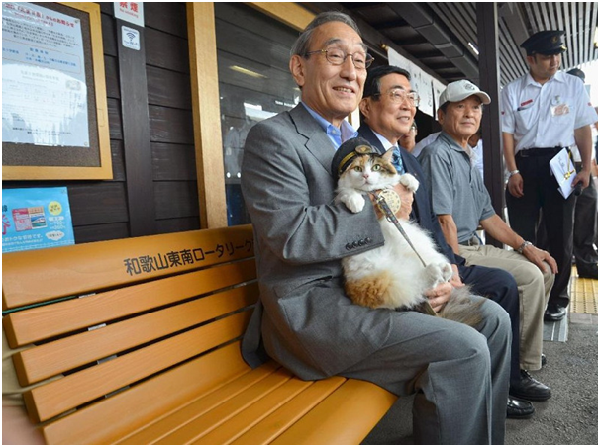  小嶋社長受訪時喜孜孜地表示：「這是二玉首次工作，原以為牠會怕生，沒想到這麼穩重優秀。」 取自產經新聞