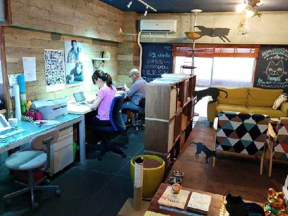 「Q studio」的租約規定，分租者必須一起照顧貓咪，內容包括：一天餵食兩次、清理貓砂，以及在工作之餘摸摸貓咪。 取自Q-studio