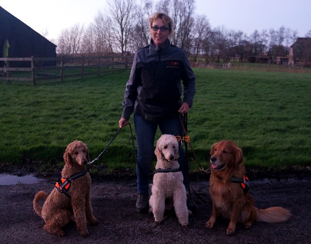 輔助犬組織「英雄協會」創辦人范那布爾（Greetje Veneboer）。碎嘴/攝