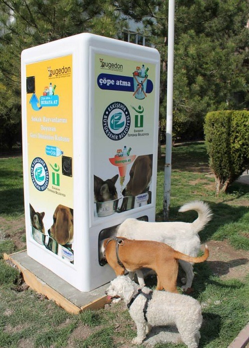 土耳其街頭的流浪貓狗餵食站,是愛心和科技結合下的產物,能把喝不完的瓶裝水變成流浪貓狗的飲水,投入的空寶特瓶換成牠們的飼料。 台灣動物新聞網資料照