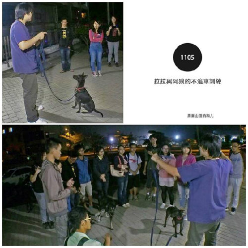 既是咖啡店老闆也是專業訓犬師的柯先生，免費提供相關訓犬知識，讓志工隊學生在與校犬互動時更得心應手，學生參與熱烈。 燕巢山頂的狗ㄦ-高師大流浪動物志工隊/提供