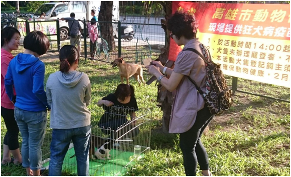  「2015寵物運動公園動物認養活動」於每個月的第１個週日下午２點到６點在中正交流道旁的寵物運動公園舉辦！　高雄動保處/提供