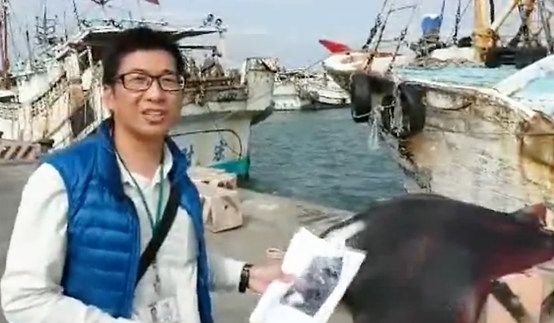 漁港所當下也聯絡海洋大學是否收購，進行學術研究，但因鬼蝠魟太大無法載運遭婉拒，最後船長只好支解分送漁民。擷自新聞畫面