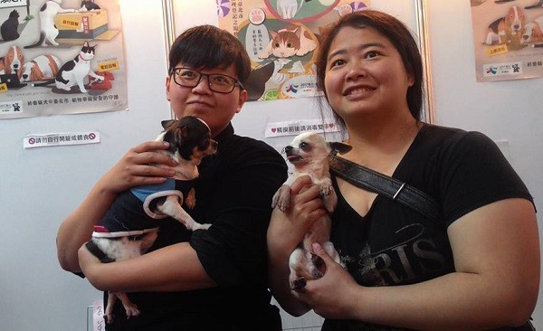 小公吉戀人幸而遇到這對姐妹，在失去舊主人之後，可以相偕進入一個新家。 取自幸福轉運站臉書