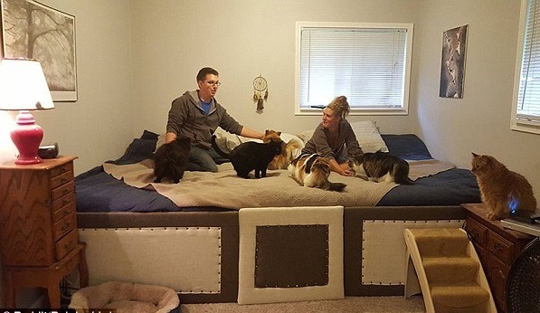 為了和10多隻貓狗共眠，這對美國情侶可是特別訂製了Super Size的大床。  取自網路