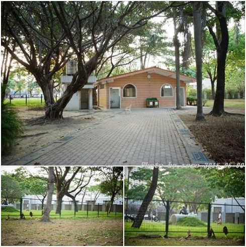 高雄第一座寵物公園，讓愛狗人士樂於帶著家中毛寶貝前往，和其他毛孩交流，培養狗狗良好的社會化行為。　瑭芯/ 攝