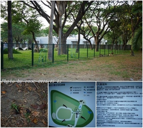 園區設菱形鐵絲網作為管制邊界，並劃分出中大型犬及小型犬區，出入口設置雙層管制門緩衝區，並豎立狗公園使用規則告示牌。下左圖為地上狗便。　瑭芯/攝