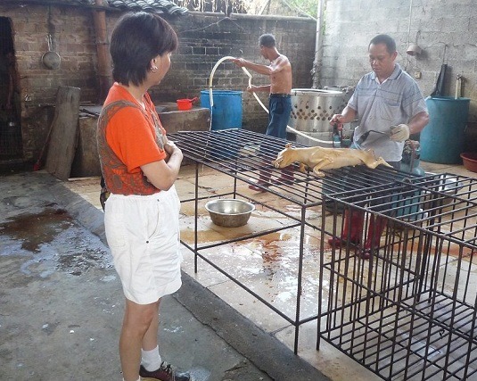 「多多關懷動物基金會」創辦人鞏增恆目前又到玉林狗肉節現場。 取自鞏增恆FB