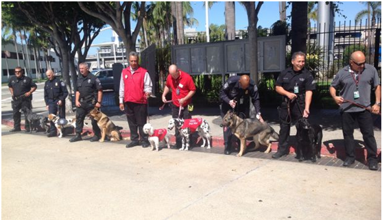 8隻狗狗代表接受表揚，其中有2隻是志工犬。　Twitter_flyLAXairport