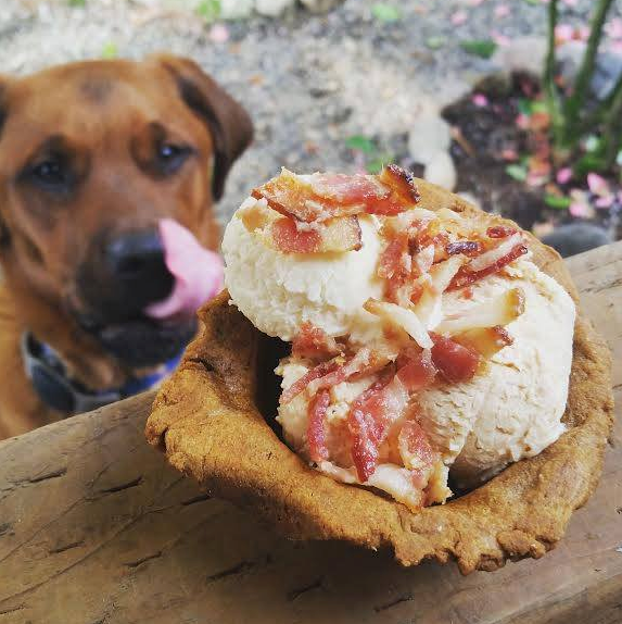 灑上培根的冰淇淋，3球也不過台幣100元上下，還連容器都能吃下肚，CP值很高。取自Seattle Barkery臉書