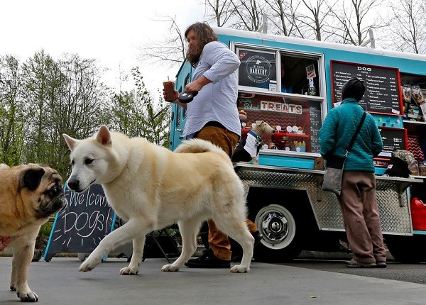 看來，同儕的吸引力還是大於狗餐車。取自Seattle Barkery臉書